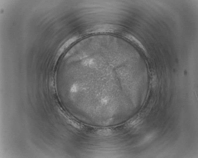 X0000073890882200609082120