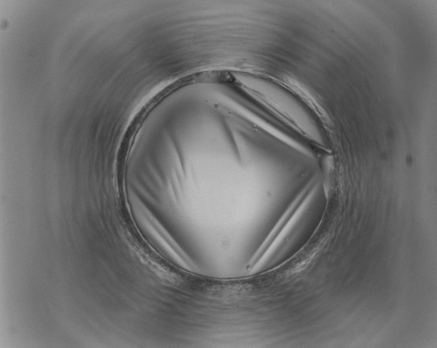 X0000073890884200609082120