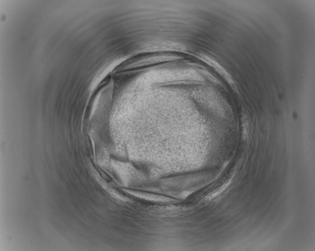 X0000073890885200609082120