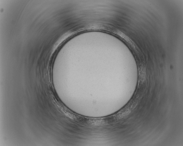 X0000073890886200609082120