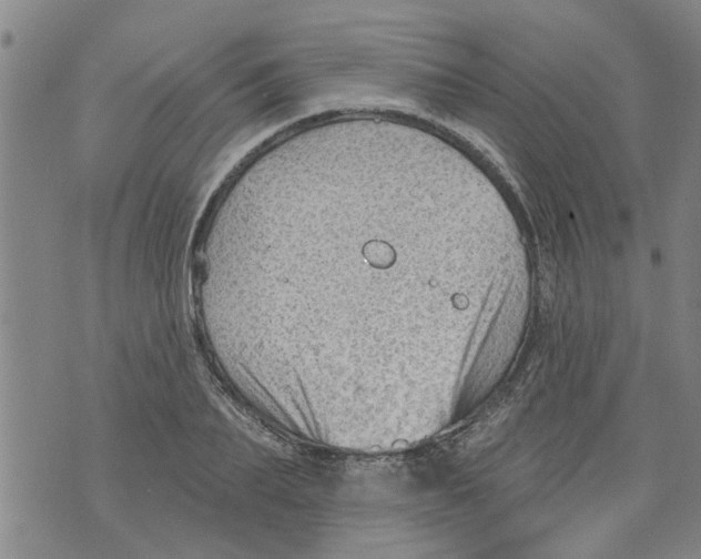 X0000073890887200609082120