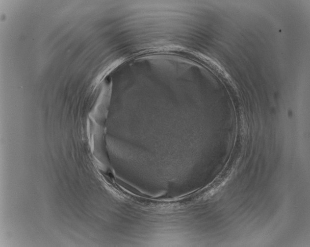 X0000073890889200609082120