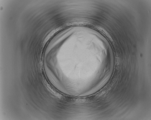 X0000073890890200609082120