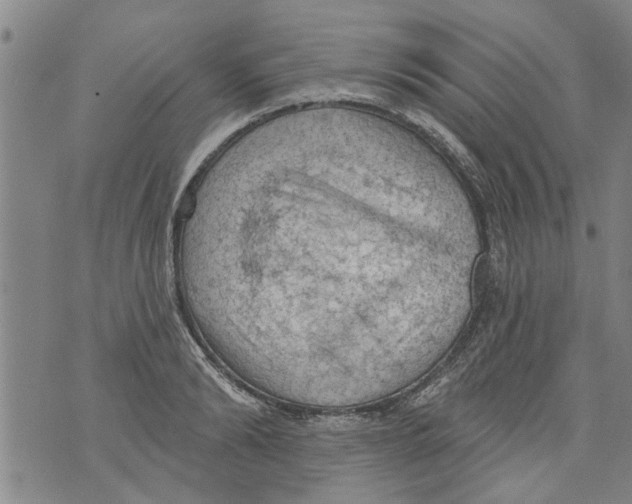 X0000073890894200609082120