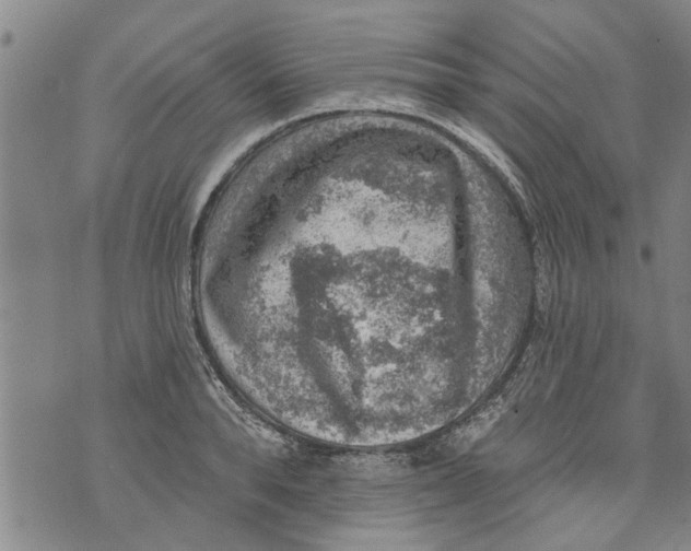 X0000073890896200609082120