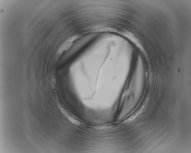 X0000073890897200609082120