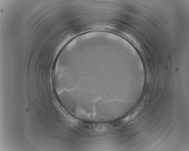 X0000073890899200609082120