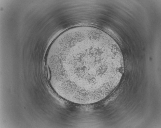 X0000073890900200609082120