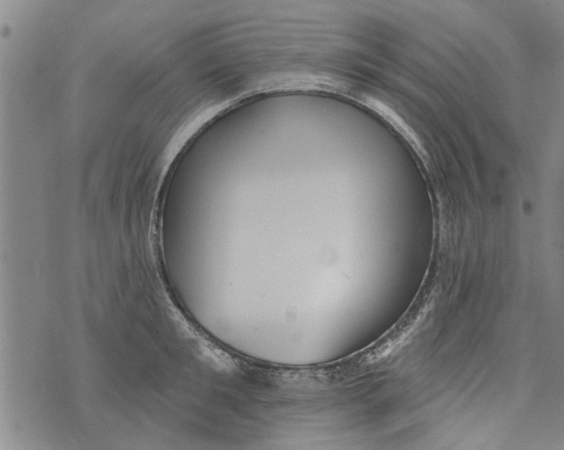 X0000073890901200609082120