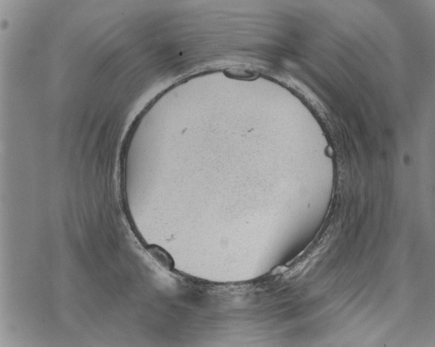 X0000073890902200609082120