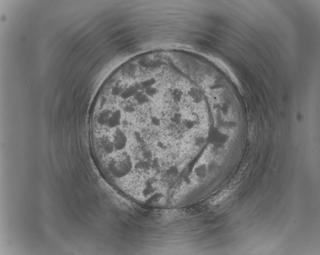 X0000073890903200609082120