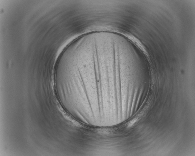 X0000073890904200609082120