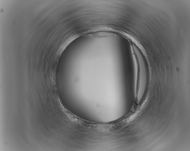 X0000073890905200609082120