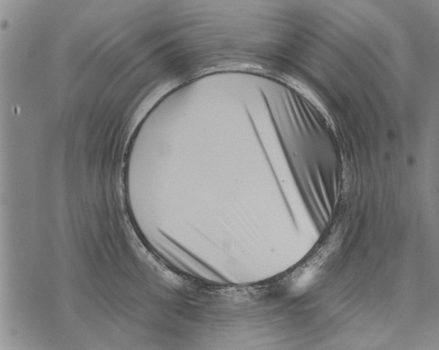 X0000073890906200609082120