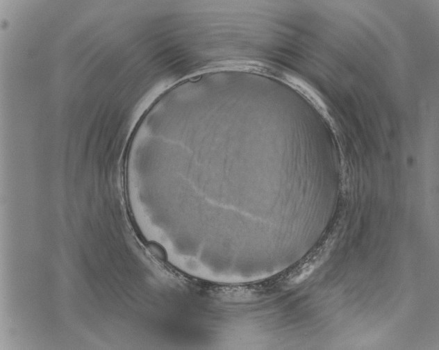 X0000073890907200609082120