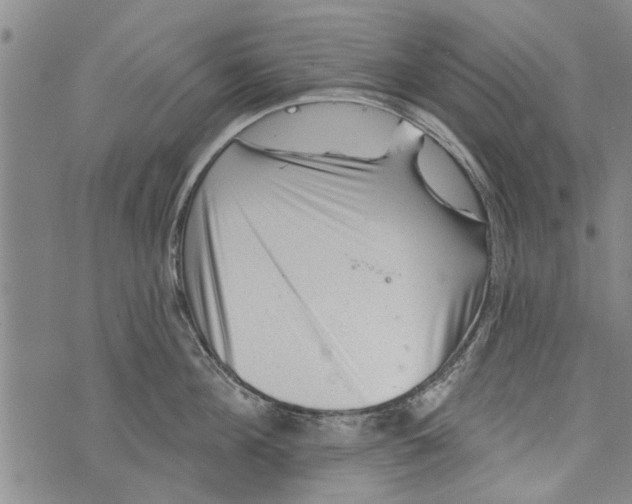 X0000073890908200609082120