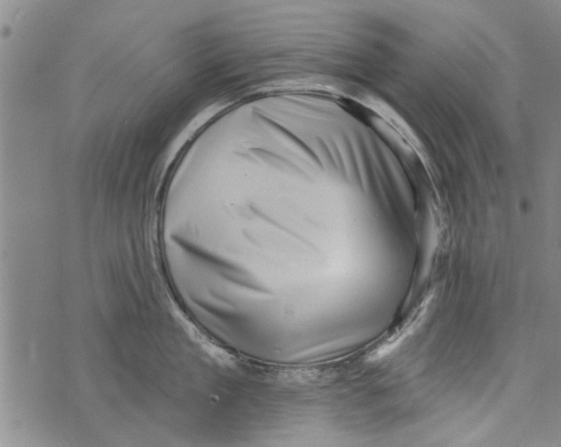 X0000073890909200609082120