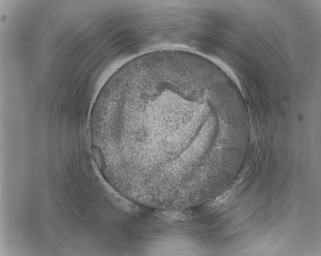 X0000073890911200609082120