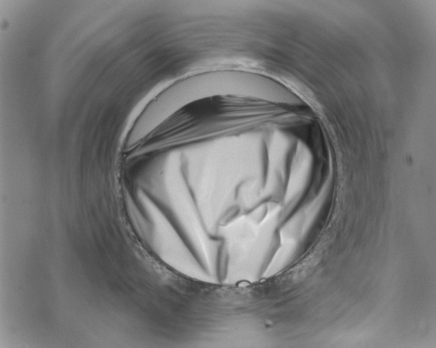 X0000073890912200609082119