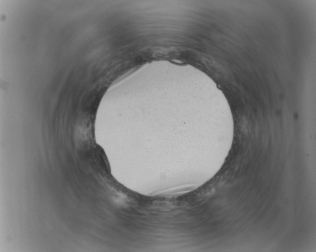 X0000073890914200609082119