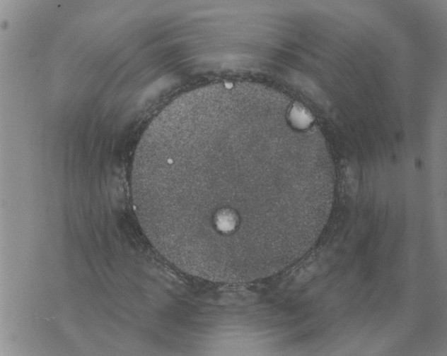 X0000073890918200609082119