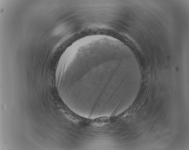 X0000073890919200609082119