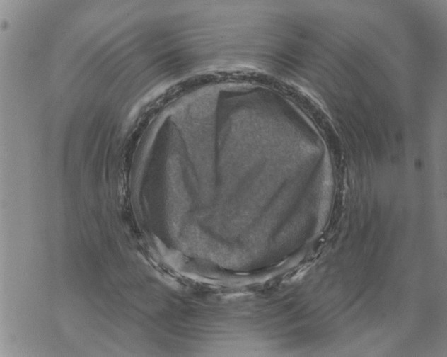 X0000073890920200609082119