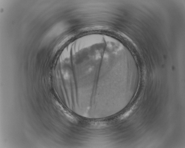 X0000073890921200609082119