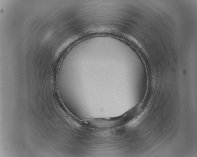 X0000073890922200609082119