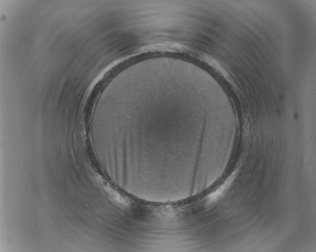 X0000073890923200609082119