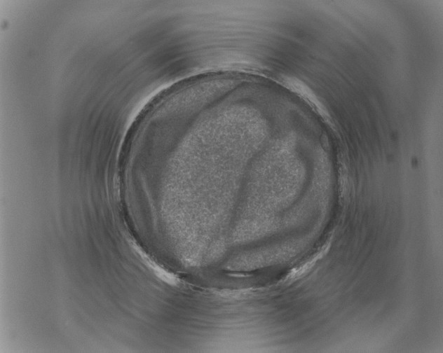 X0000073890924200609082119