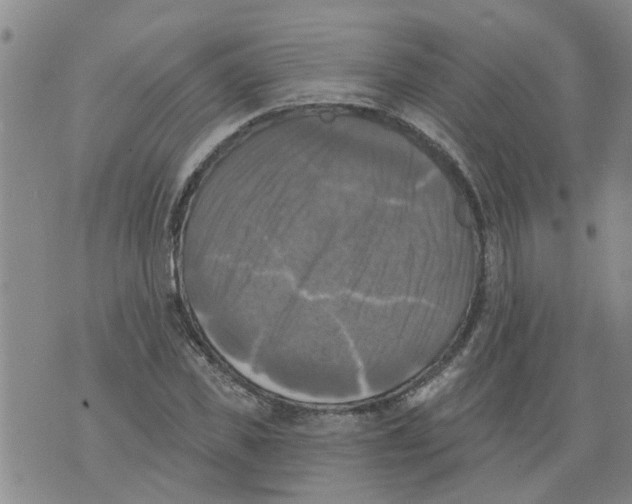 X0000073890925200609082119