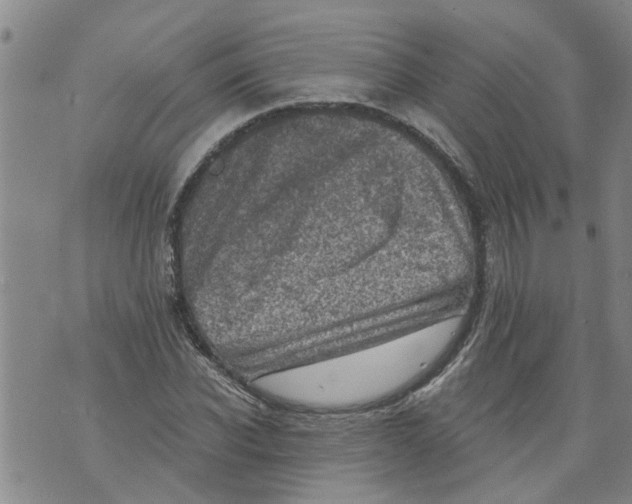 X0000073890926200609082119