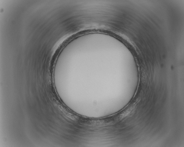 X0000073890927200609082119