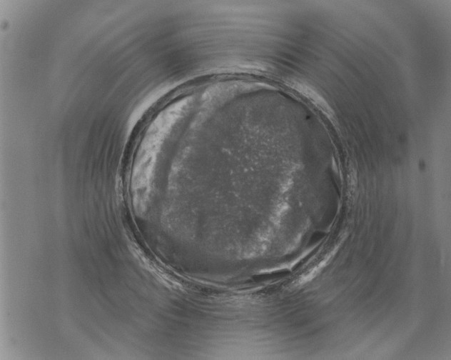 X0000073890928200609082119