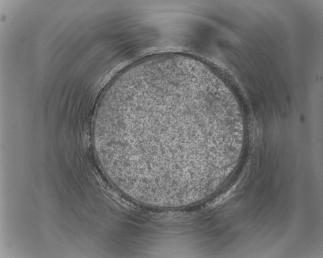 X0000073890929200609082119