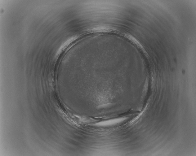 X0000073890930200609082119