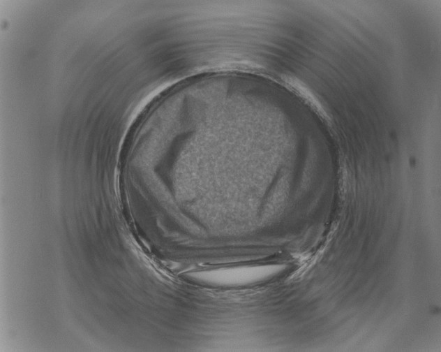 X0000073890932200609082119