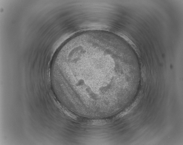 X0000073890933200609082119