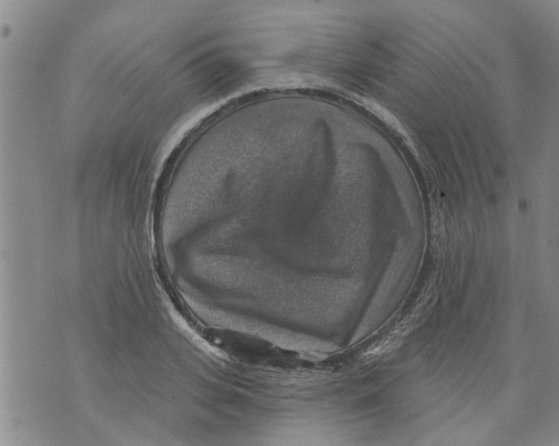 X0000073890935200609082119