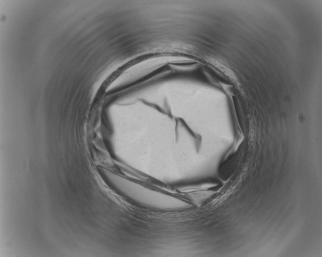 X0000073890936200609082119