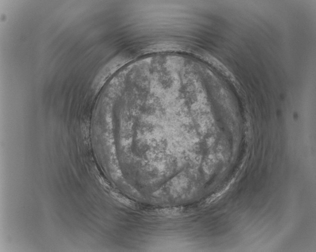 X0000073890937200609082119