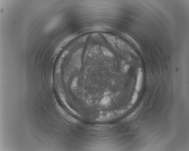 X0000073890938200609082119