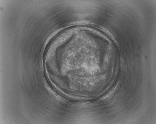 X0000073890939200609082119