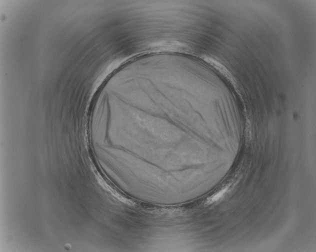 X0000073890941200609082119