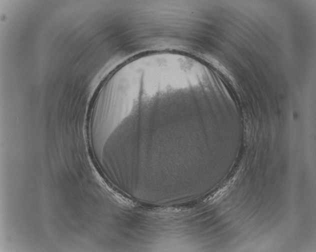 X0000073890943200609082119