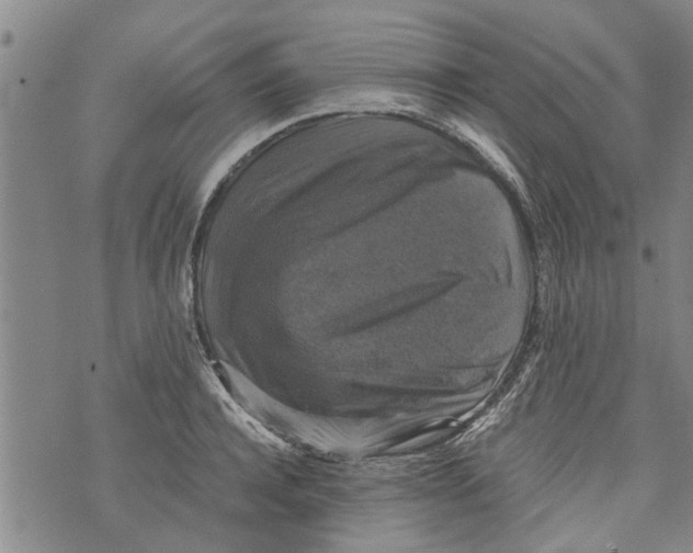 X0000073890944200609082119