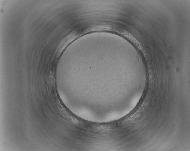 X0000073890945200609082119