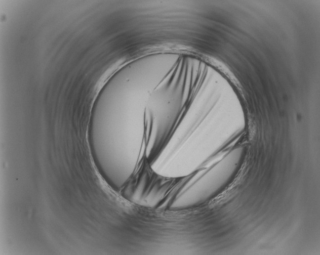 X0000073890946200609082119