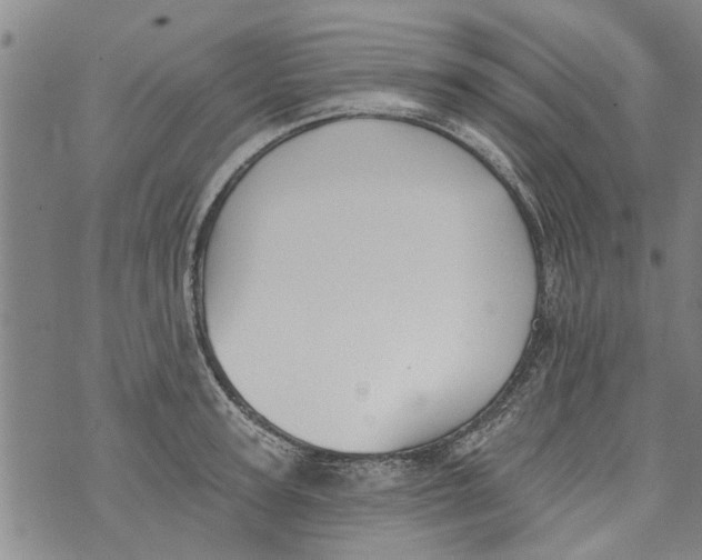 X0000073890947200609082119